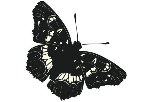 Black Butterfly Design: A Practical Guide to Quality and Versatility