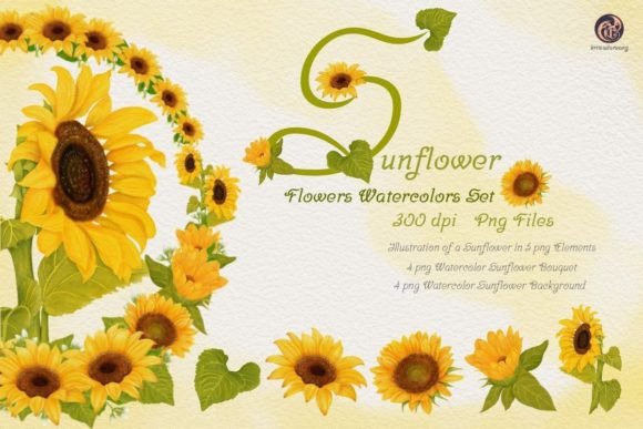 Sunflower-Flower Watercolor Set for Creative Projects